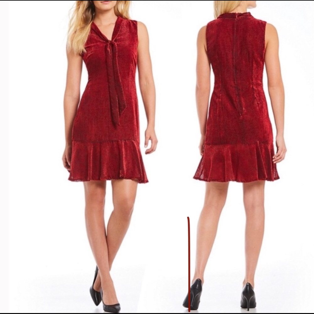 Karl Lagerfeld Velvet Red Dress